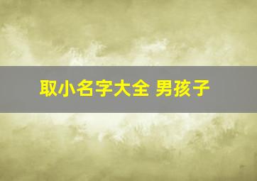 取小名字大全 男孩子